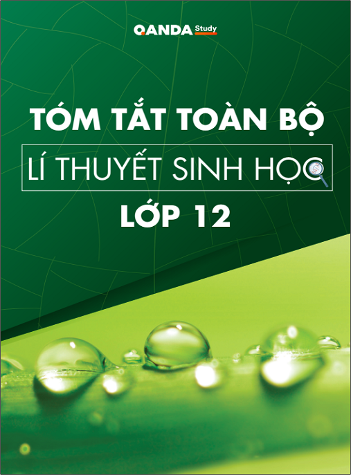 Tóm Tắt Toàn Bộ Lí Thuyết Sinh Học Lớp 12
